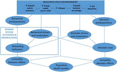 Misalignment of Reward Response With Healthful Behavior: An Underappreciated Driver of Population Health Deficits and Health Disparities?